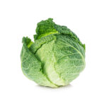 Savoy Cabbage
